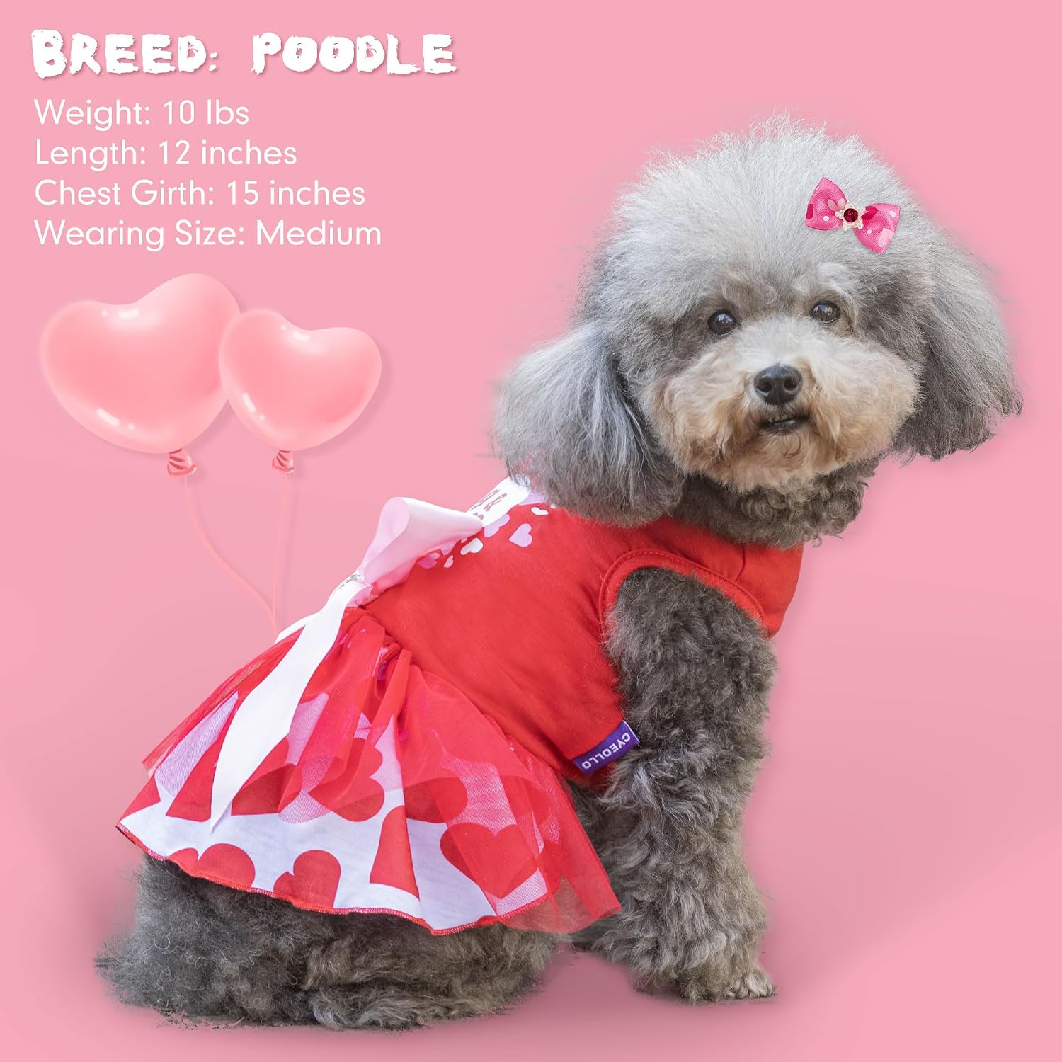 cyeollo Dog Valentine's Day Dress Heart Print Tulle Outfit with Hair Bow, S
